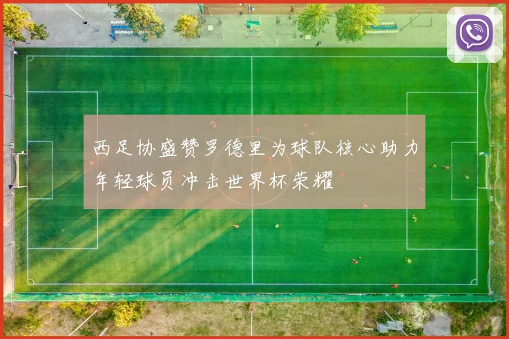 西足协盛赞罗德里为球队核心助力年轻球员冲击世界杯荣耀